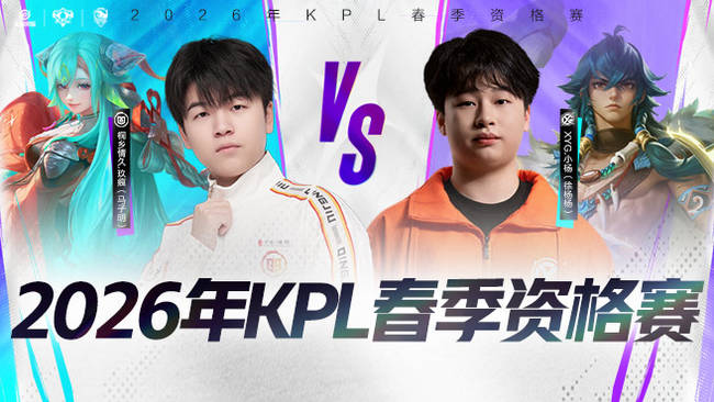 大的关注 大的关注